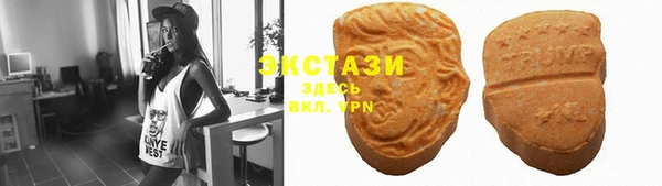 ECSTASY Богородицк