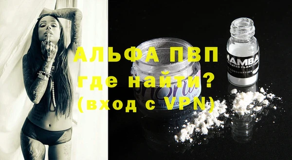 ECSTASY Богородицк